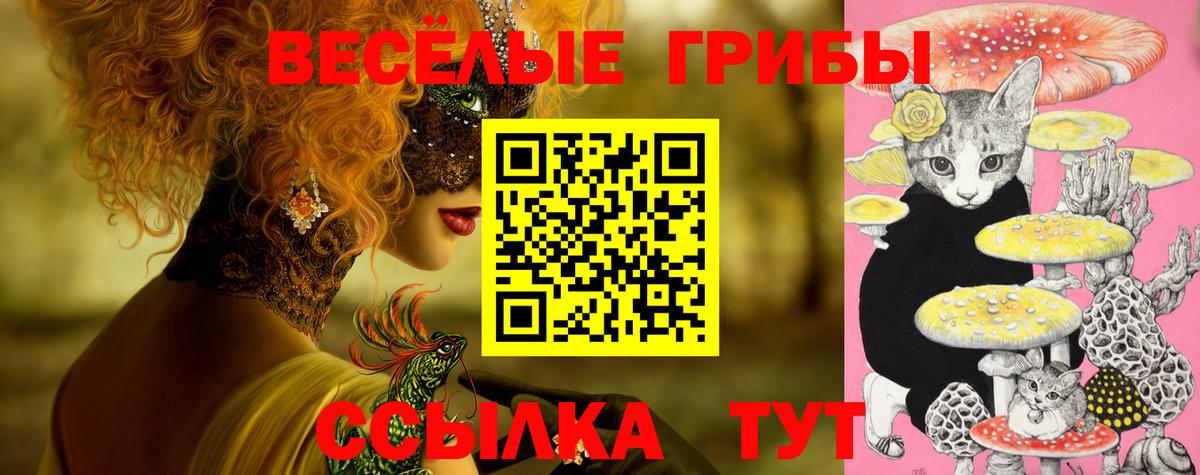Псилоцибиновые грибы мухоморы  Вход с VPN  Севастополь 