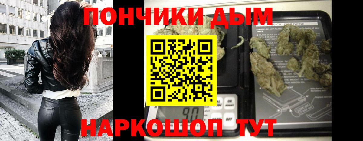 Марихуана план  Вход с VPN  Канабис семена  Севастополь  Канабис ГИДРОПОН 